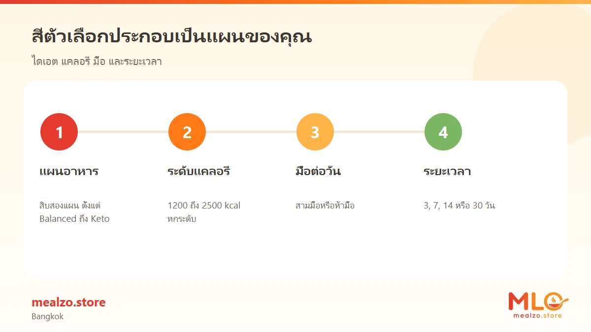 สี่ตัวเลือกประกอบเป็นแผนของคุณ